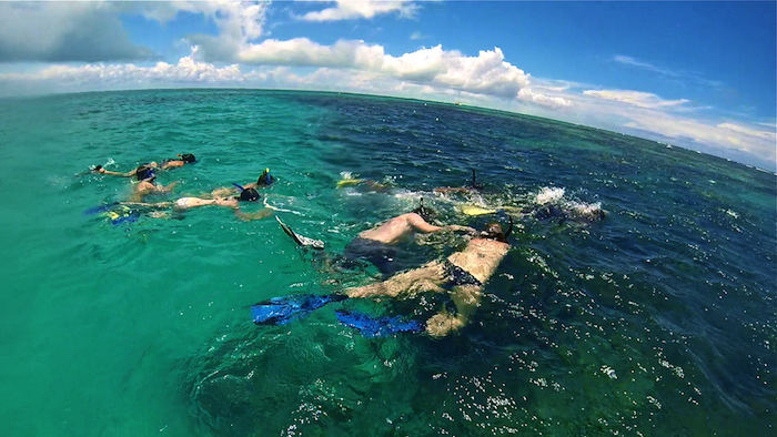 Caye Caulker snorkeling Belize Central America aroundtheworldwithjustin.com