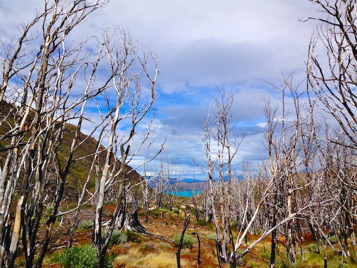 W Trek Torres Del Paine Chile Patagonia trekking aroundtheworldwithjustin.com