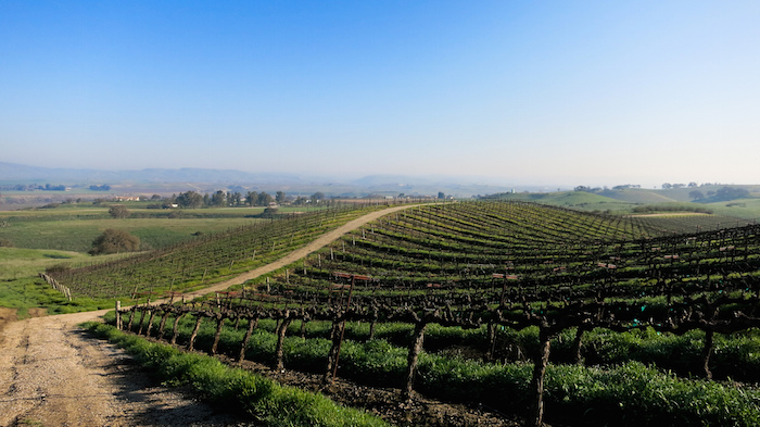 Best Paso Robles Wineries California wine tasting aroundtheworldwithjustin.com