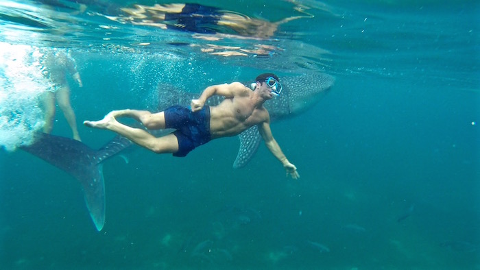 Swimming with Oslob whale sharks Philippines 6 pack body aroundtheworldwithjustin.com