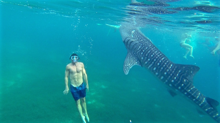 Swimming with Oslob whale sharks Philippines 6 pack body aroundtheworldwithjustin.com