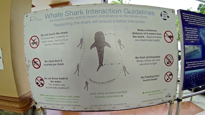 Oslob whale sharks interaction guidelines aroundtheworldwithjustin.com