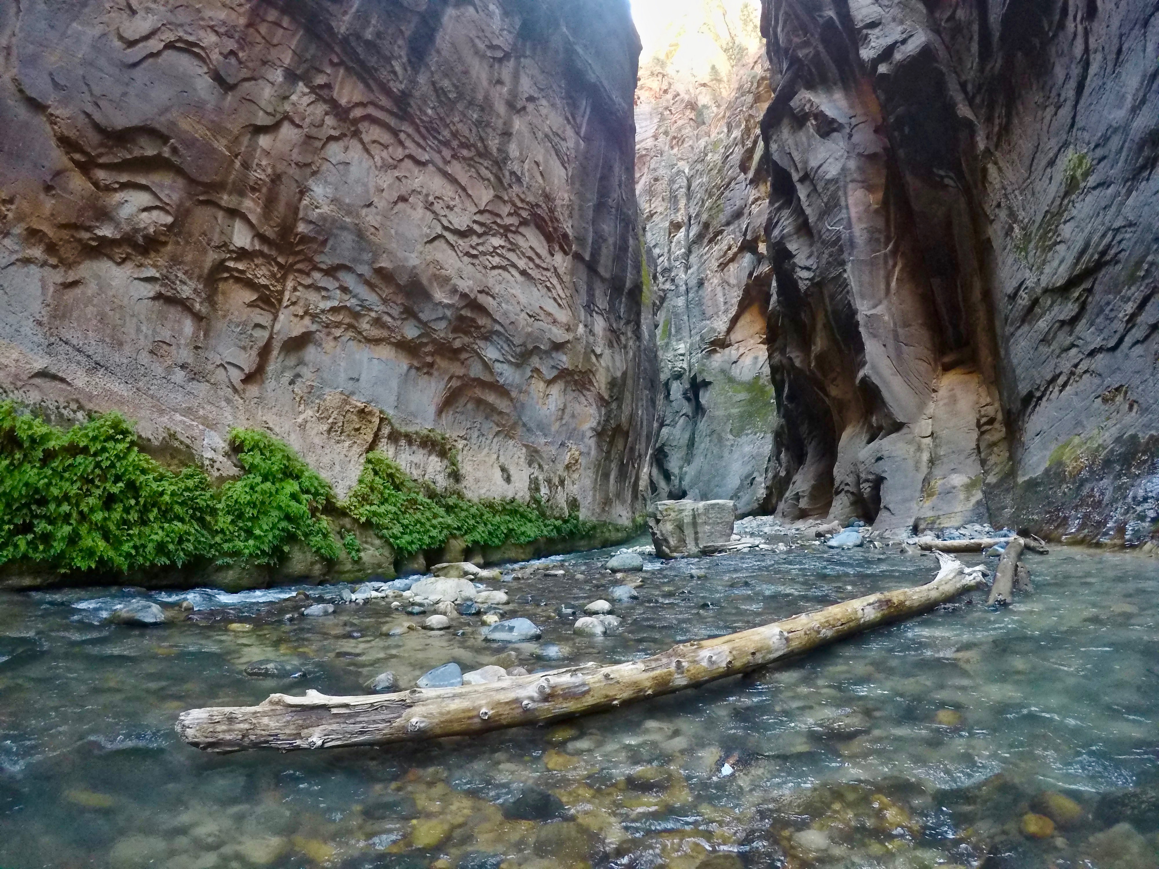 Zion National Park Narrows Hike