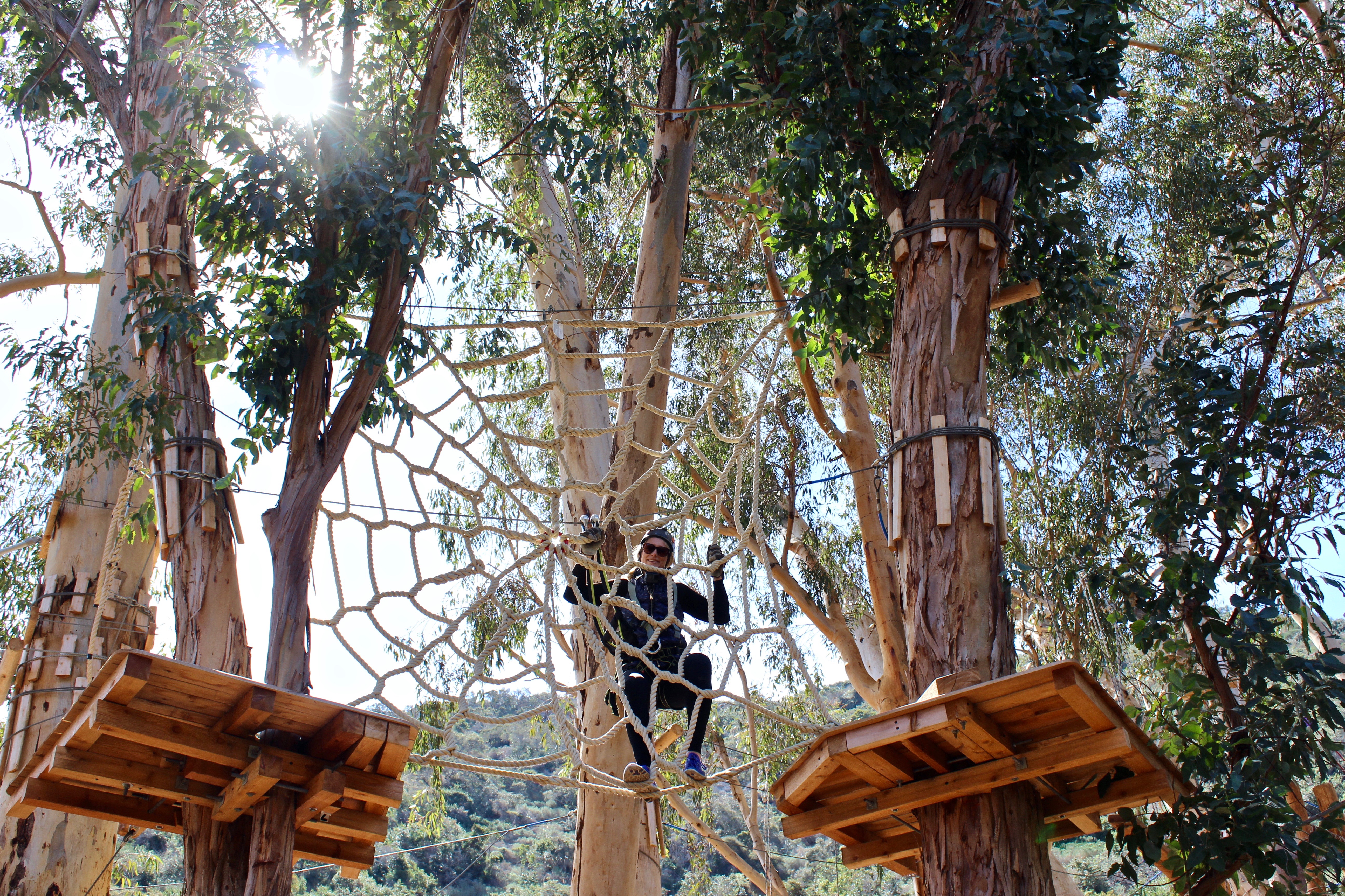 things to do in Catalina Island Aerial Adventure ropes course 