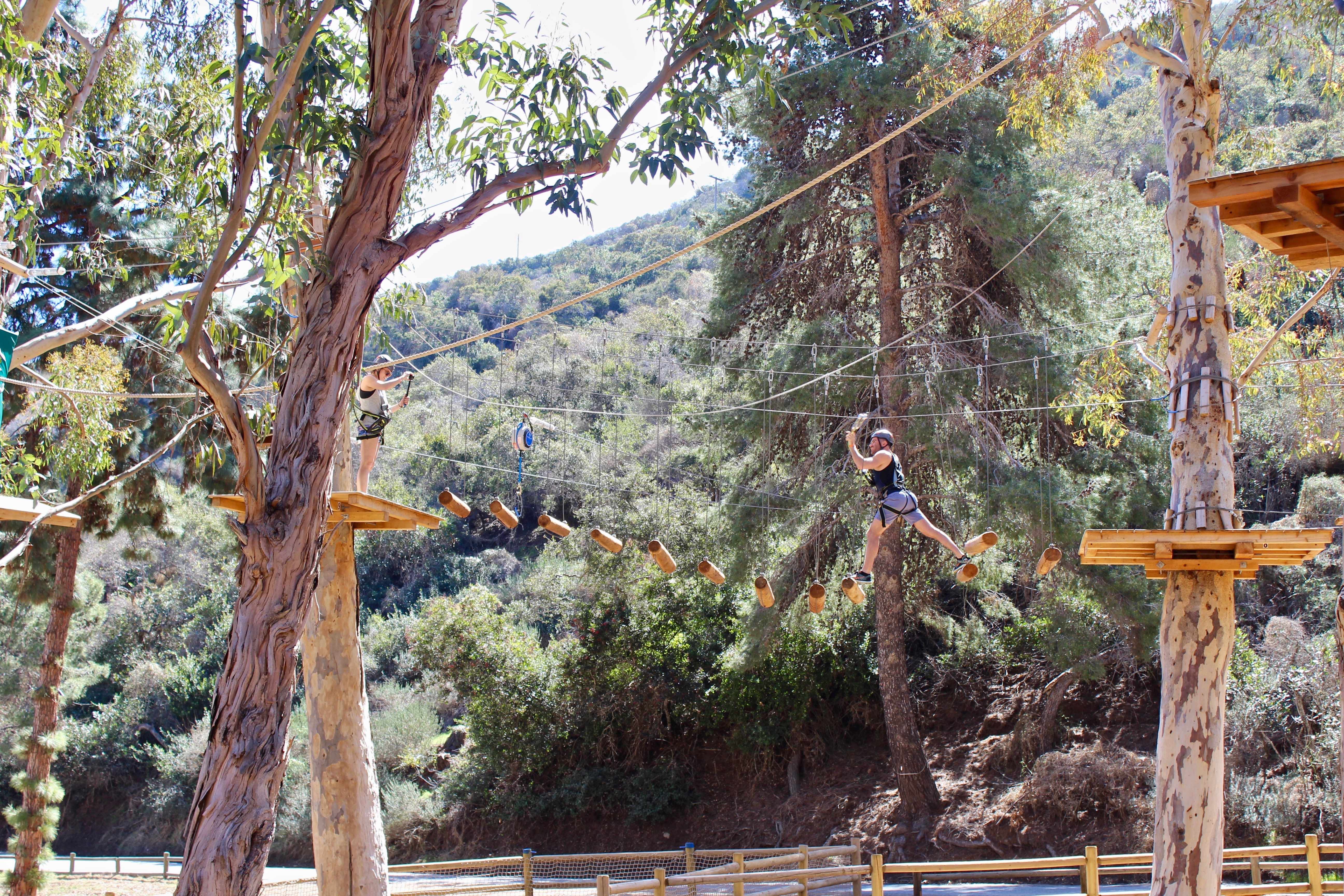 things to do in Catalina Island Aerial Adventure ropes course