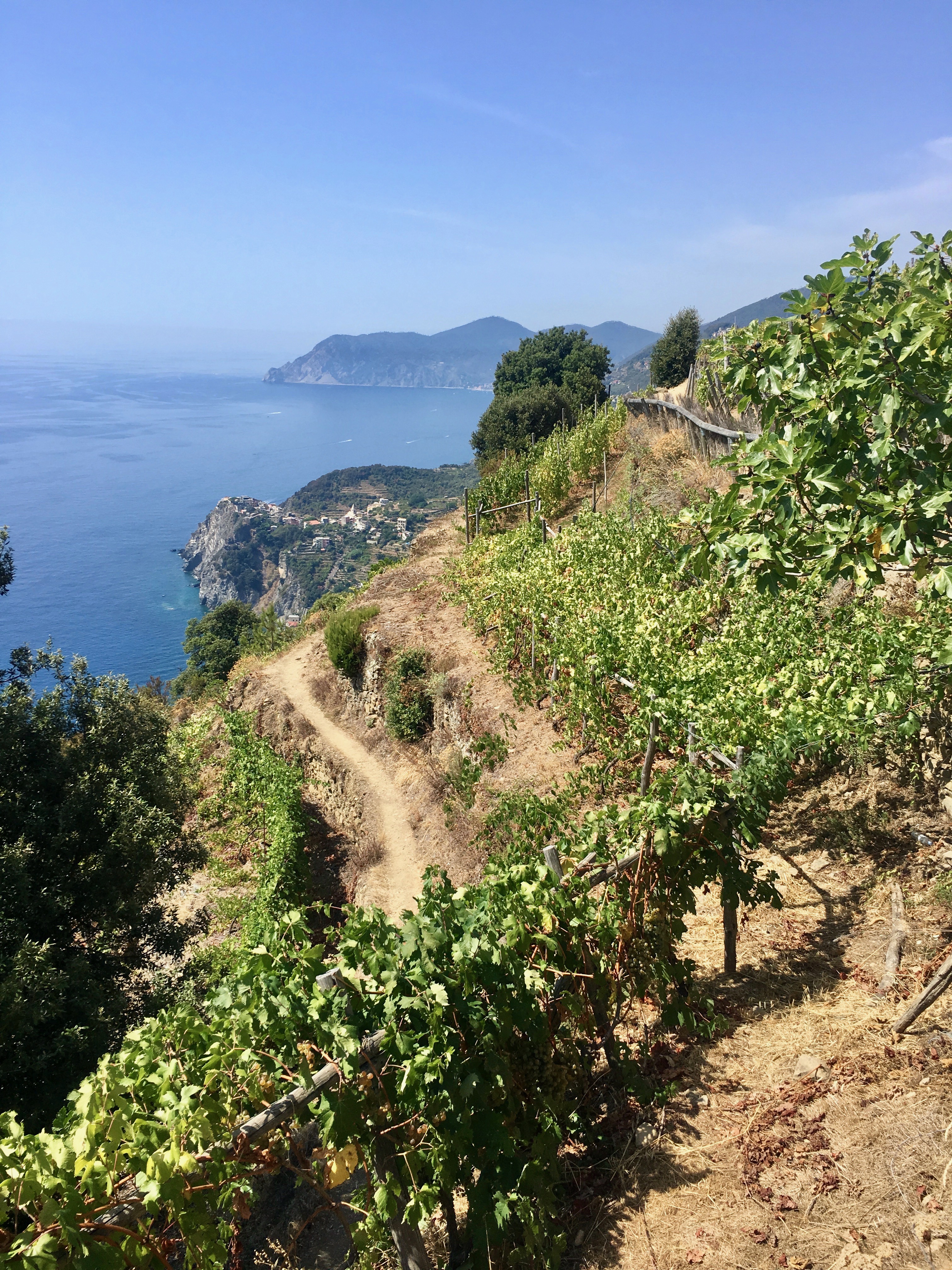 Cinque Terre Hiking Italy Travel Guide