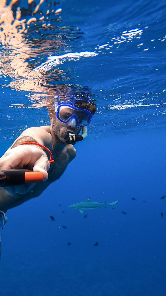 Islands of Tahiti snorkeling Bora Bora sharks