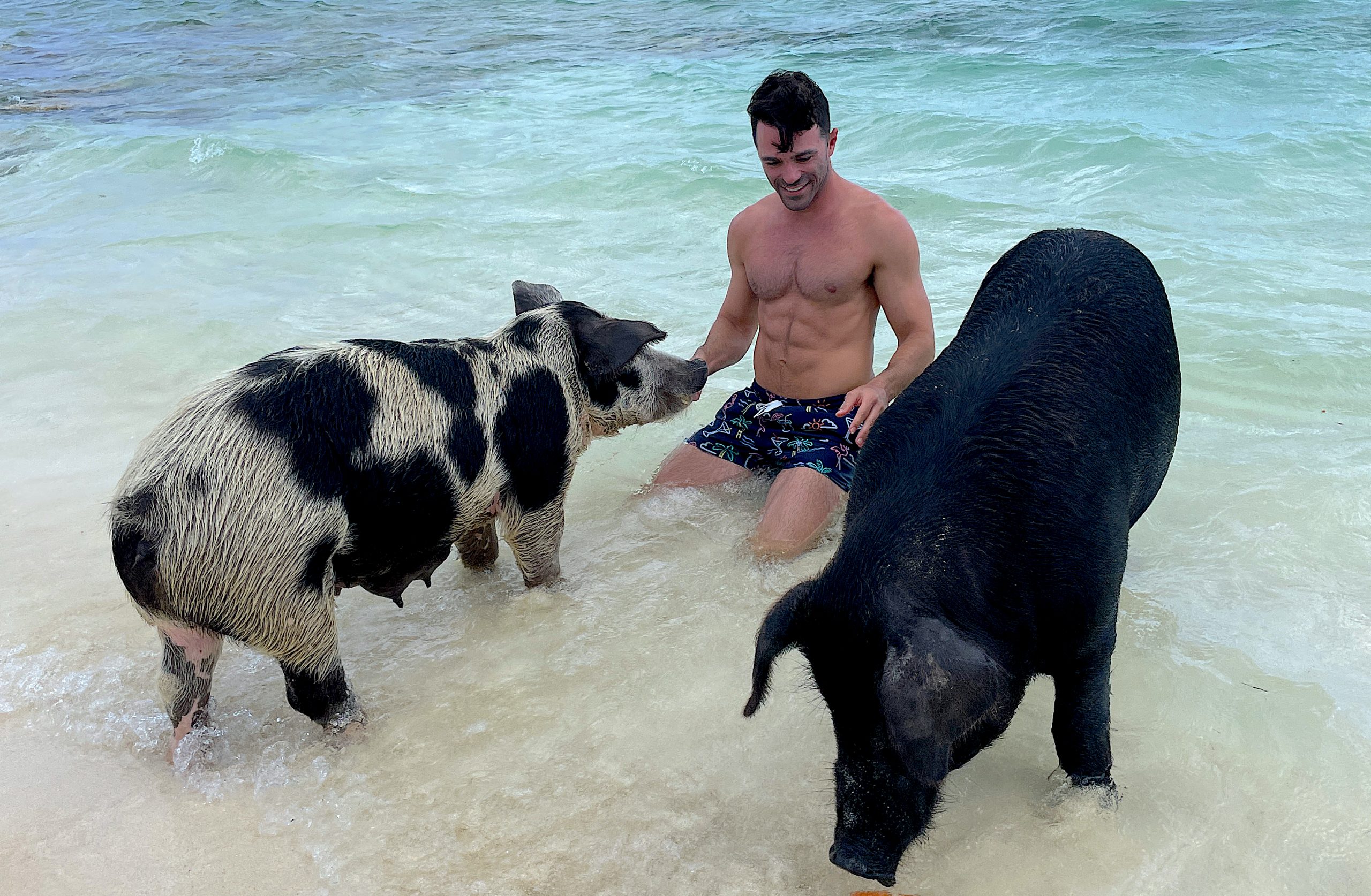 How To Visit The Swimming Pigs of Bahamas